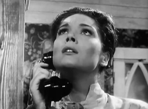 Diana Rigg | Television Heaven