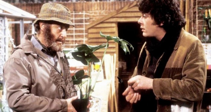 Richard Beckinsale in 'Bloomers'