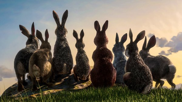 Watership Down 2018
