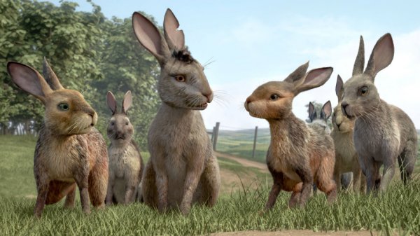 Watership Down 2018