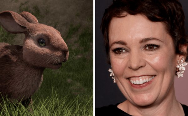 Watership Down 2018