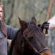 Arn: The Knight Templar