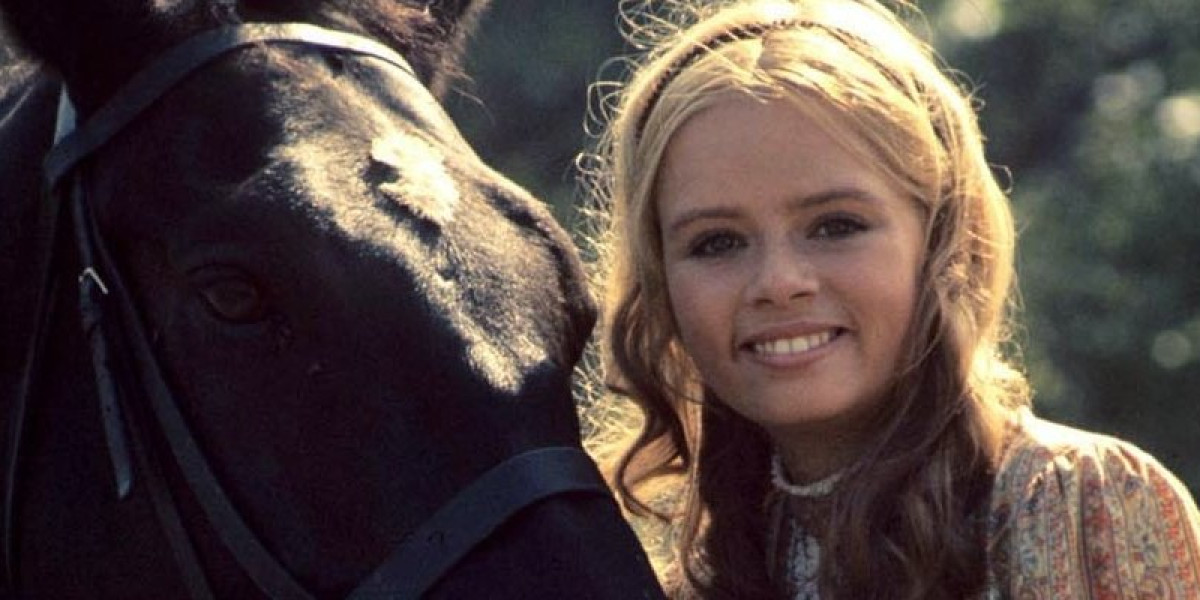 The Adventures of Black Beauty | Television Heaven