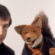 Basil Brush Show