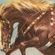 Champion the Wonder Horse