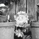 The Flowerpot Men