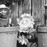 The Flowerpot Men