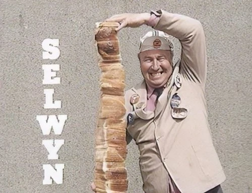 Selwyn TV series