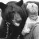 Gentle Ben