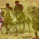 George Washington 1984 miniseries