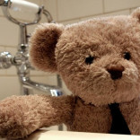 Misery Bear