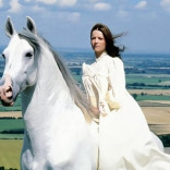 The Moon Stallion