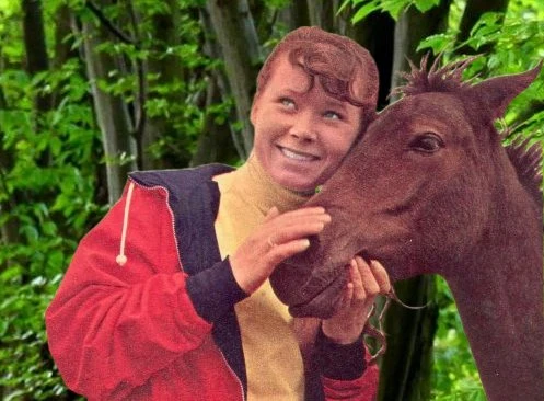 The New Forest Rustlers