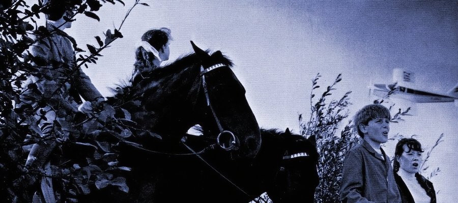 The New Forest Rustlers