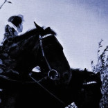 The New Forest Rustlers