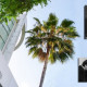 The Paley Center for Media