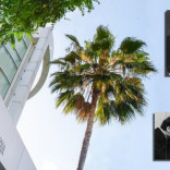 The Paley Center for Media
