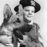 The Adventures of Rin Tin Tin