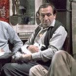 Rising Damp