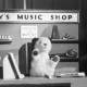 Sooty