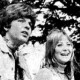 The Tingaree Affair